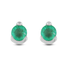 Cargar imagen en el visor de la galería, Topo Luz Clara