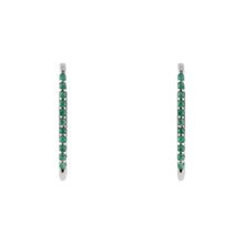 Cargar imagen en el visor de la galería, Aretes Climber Spinosa