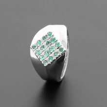 Cargar imagen en el visor de la galería, Anilo Zenú