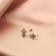 Cargar imagen en el visor de la galería, Aretes Lira