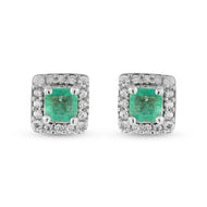 Aretes Artemisia