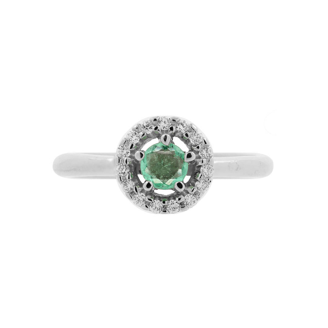 Anillo Prosa