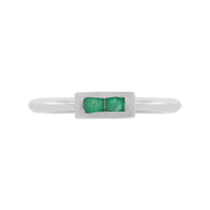 Anillo Nidal