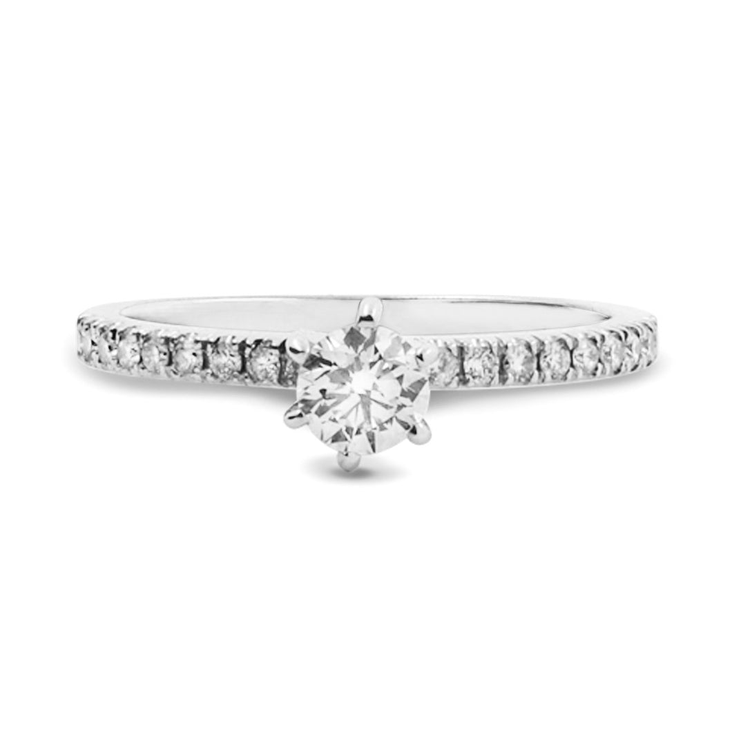 Anillo Lex