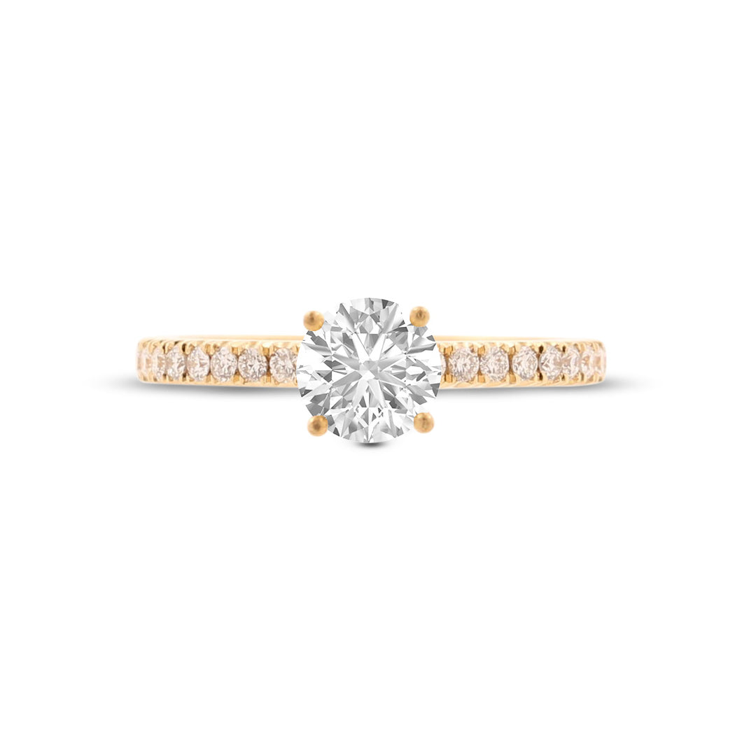 Anillo Lea