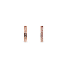 Cargar imagen en el visor de la galería, Aretes Anahí-Pink
