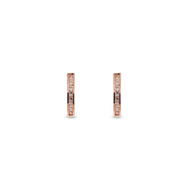 Aretes Anahí-Pink