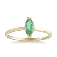 Anillo Marques